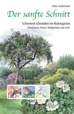 Der sanfte Schnitt Cover des Buches Der sanfte Schnitt (ISBN: 9783895663208)