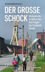 Der große Schock Cover des Buches Der große Schock (ISBN: 9783898092791)