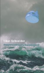magnesiumsgeschwindigkeit Cover des Buches magnesiumsgeschwindigkeit (ISBN: 9783899304367)