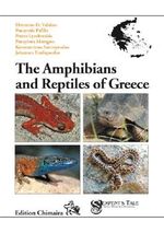 Amphibians and Reptiles of Greece Cover des Buches Amphibians and Reptiles of Greece (ISBN: 9783899734614)