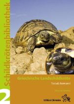 Griechische Landschildkröte Cover des Buches Griechische Landschildkröte (ISBN: 9783899735024)