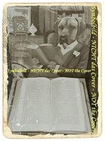 Literatur in Anekdoten Cover des Buches Literatur in Anekdoten (ISBN: 9783900100797)