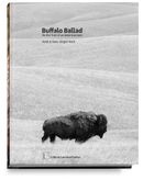 Buffalo Ballad Cover des Buches Buffalo Ballad (ISBN: 9783901753732)