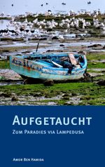 Aufgetaucht Cover des Buches Aufgetaucht (ISBN: 9783906021119)