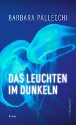 Das Leuchten im Dunkeln Cover des Buches Das Leuchten im Dunkeln (ISBN: 9783906907802)