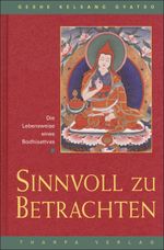 Sinnvoll zu betrachten Cover des Buches Sinnvoll zu betrachten (ISBN: 9783908543107)
