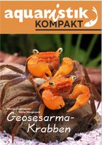 Geosesarma-Krabben - aquaristik KOMPAKT Cover des Buches Geosesarma-Krabben - aquaristik KOMPAKT (ISBN: 9783911226066)