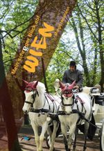 Mein schräger Blick auf Wien Cover des Buches Mein schräger Blick auf Wien (ISBN: 9783933011343)