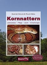 Kornnattern Cover des Buches Kornnattern (ISBN: 9783936180145)