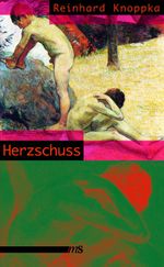 Herzschuss Cover des Buches Herzschuss (ISBN: 9783939542223)