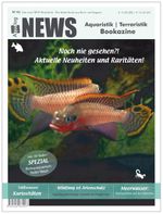 NEWS Bookazine Nr. 1 (Herbst 2016) Cover des Buches NEWS Bookazine Nr. 1 (Herbst 2016) (ISBN: 9783939759294)