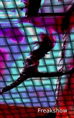 Freakshow. Zeig uns deinen Körper: Dance Floor Extra Cover des Buches Freakshow. Zeig uns deinen Körper: Dance Floor Extra (ISBN: 9783940582720)