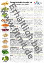 Aminosäuren und vegane Protein-Quellen Cover des Buches Aminosäuren und vegane Protein-Quellen (ISBN: 9783940832924)
