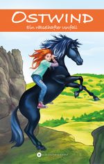 OSTWIND - Ein rätselhafter Unfall Cover des Buches OSTWIND - Ein rätselhafter Unfall (ISBN: 9783940919502)