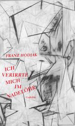Ich verirrte mich im Nadelöhr Cover des Buches Ich verirrte mich im Nadelöhr (ISBN: 9783941209916)