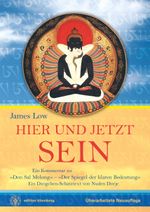 Hier und Jetzt Sein Cover des Buches Hier und Jetzt Sein (ISBN: 9783942380256)