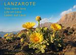Lanzarote - Leben auf Lava Cover des Buches Lanzarote - Leben auf Lava (ISBN: 9783942999038)