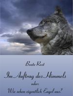 Im Auftrag des Himmels oder: Wie sehen eigentlich Engel aus? Cover des Buches Im Auftrag des Himmels oder: Wie sehen eigentlich Engel aus? (ISBN: 9783943054200)