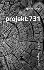 projekt: 731 Cover des Buches projekt: 731 (ISBN: 9783943292930)