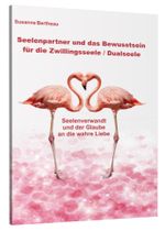 Seelenpartner und das Bewusstsein für die Zwillingsseele / Dualseele Cover des Buches Seelenpartner und das Bewusstsein für die Zwillingsseele / Dualseele (ISBN: 9783943729474)