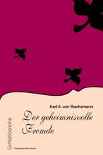 Der geheimnisvolle Fremde Cover des Buches Der geheimnisvolle Fremde (ISBN: 9783943999969)