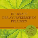 Die Kraft der ayurvedischen Pflanzen Cover des Buches Die Kraft der ayurvedischen Pflanzen (ISBN: 9783947159529)