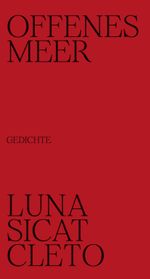 Offenes Meer Cover des Buches Offenes Meer (ISBN: 9783952534427)