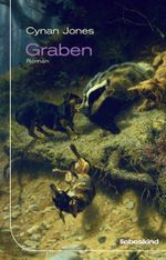Graben Cover des Buches Graben (ISBN: 9783954380398)