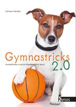 Gymnastricks 2.0 Cover des Buches Gymnastricks 2.0 (ISBN: 9783954643257)