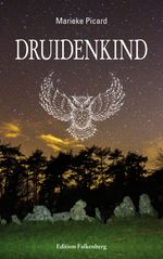 Druidenkind Cover des Buches Druidenkind (ISBN: 9783954941599)