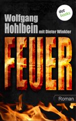 Feuer Cover des Buches Feuer (ISBN: 9783955203931)