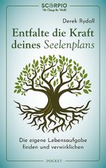 Entfalte die Kraft deines Seelenplans Cover des Buches Entfalte die Kraft deines Seelenplans (ISBN: 9783958034488)