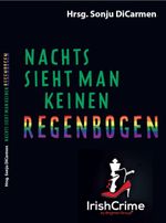 Nachts sieht man keinen Regenbogen Cover des Buches Nachts sieht man keinen Regenbogen (ISBN: 9783958768666)