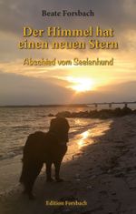 Der Himmel hat einen neuen Stern Cover des Buches Der Himmel hat einen neuen Stern (ISBN: 9783959041966)