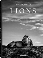 Lions: Laurent Baheux (Photographer) Cover des Buches Lions: Laurent Baheux (Photographer) (ISBN: 9783961712342)