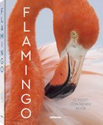 Flamingo Cover des Buches Flamingo (ISBN: 9783961713875)