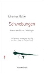Schwebungen Cover des Buches Schwebungen (ISBN: 9783962582319)