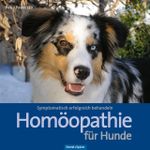 Homöopathie für Hunde Cover des Buches Homöopathie für Hunde (ISBN: 9783965550346)