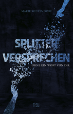 Splitterversprechen Cover des Buches Splitterversprechen (ISBN: 9783968570518)