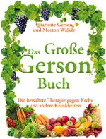 Das Große Gerson Buch Cover des Buches Das Große Gerson Buch (ISBN: 9783981409840)