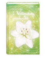 Vollendung im Licht Cover des Buches Vollendung im Licht (ISBN: 9783981884326)