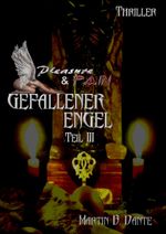 Gefallener Engel Cover des Buches Gefallener Engel (ISBN: 9783981996623)