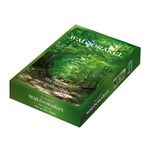 Waldorakel Cover des Buches Waldorakel (ISBN: 9783982351209)