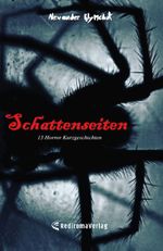 Schattenseiten Cover des Buches Schattenseiten (ISBN: 9783985277124)