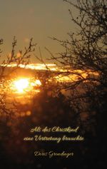 Als das Christkind eine Vertretung brauchte Cover des Buches Als das Christkind eine Vertretung brauchte (ISBN: 9783988855121)