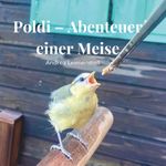 Poldi - Abenteuer einer Meise Cover des Buches Poldi - Abenteuer einer Meise (ISBN: 9783991527114)