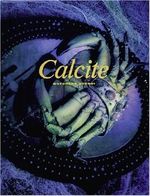 Calcite Cover des Buches Calcite (ISBN: 9784845707348)