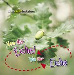 Von der Eichel zur Eiche Cover des Buches Von der Eichel zur Eiche (ISBN: 9789461754264)