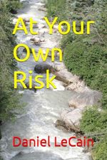 At Your Own Risk Cover des Buches At Your Own Risk (ISBN: 9798321437964)