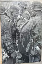Waffen-SS im Einsatz Cover des Buches Waffen-SS im Einsatz (ISBN: B0000BJ5XA)